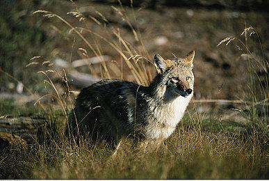 任天堂发布Switch 2024年度下载排行榜 《西瓜游戏》第一